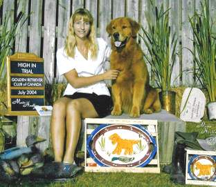 Golden Retriever image:  Ch Tasmara Golden Highjinxs CD